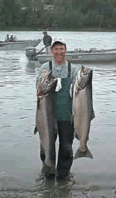 The Results - King Salmon Fishing On The Kenai River With Master Guide Lee Young...  BackBouncing Works..