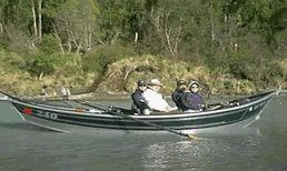 Kenai River Alaska Float Fishing Trips..  Bear Viewing and More!