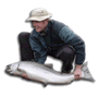 Kenai Monster King Salmon River Guide Service -- Half Day