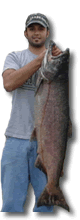 Monster King Salmon!  Kasilof King Salmon Charters