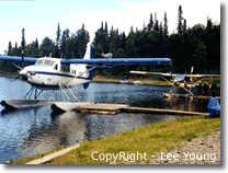 Two floatplanes docked at Island lake in preparation for fly out Alaska bear viewing and salmon fishing